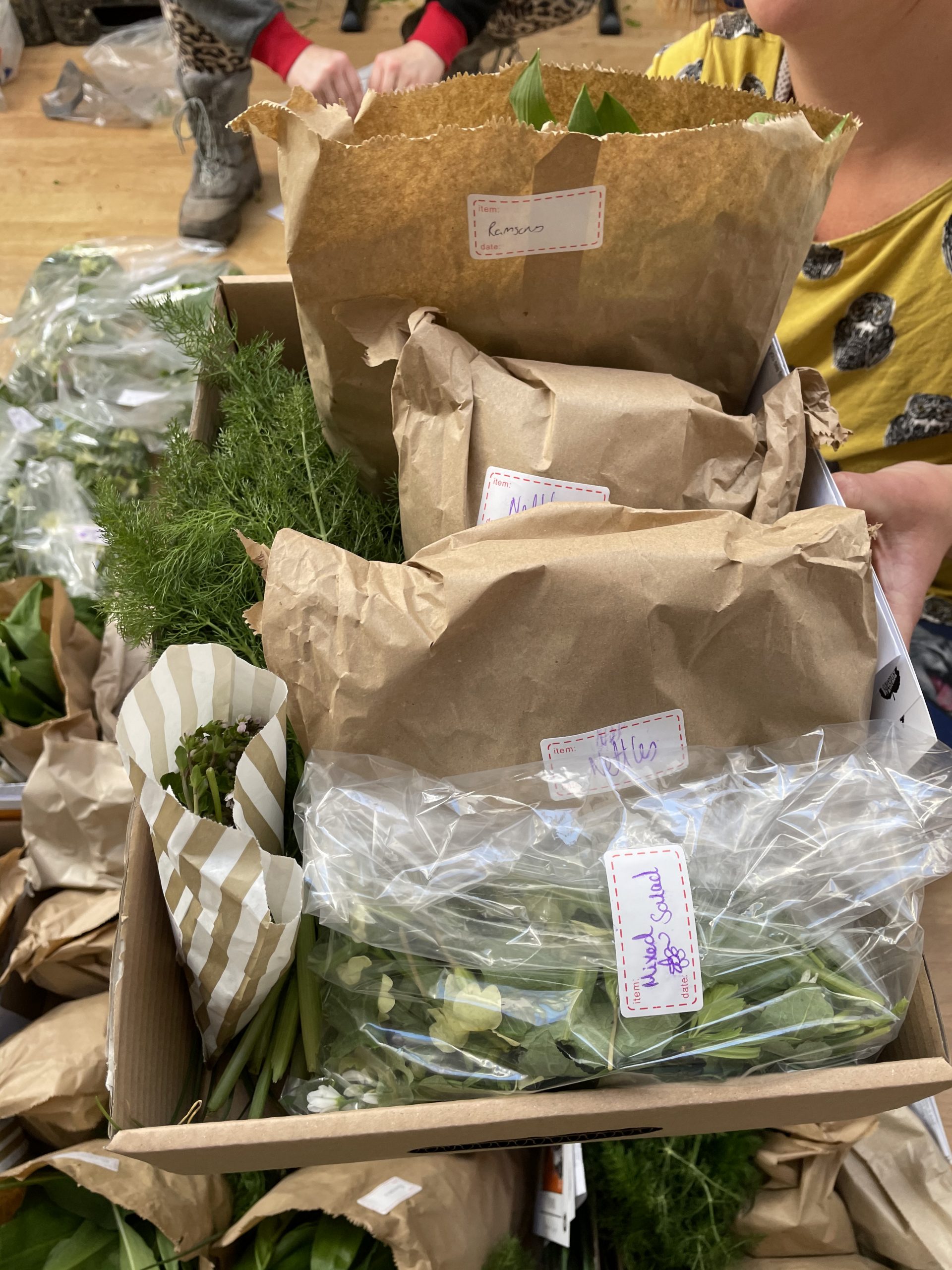 Wild Food Boxes Discover Cornwall's Free Food