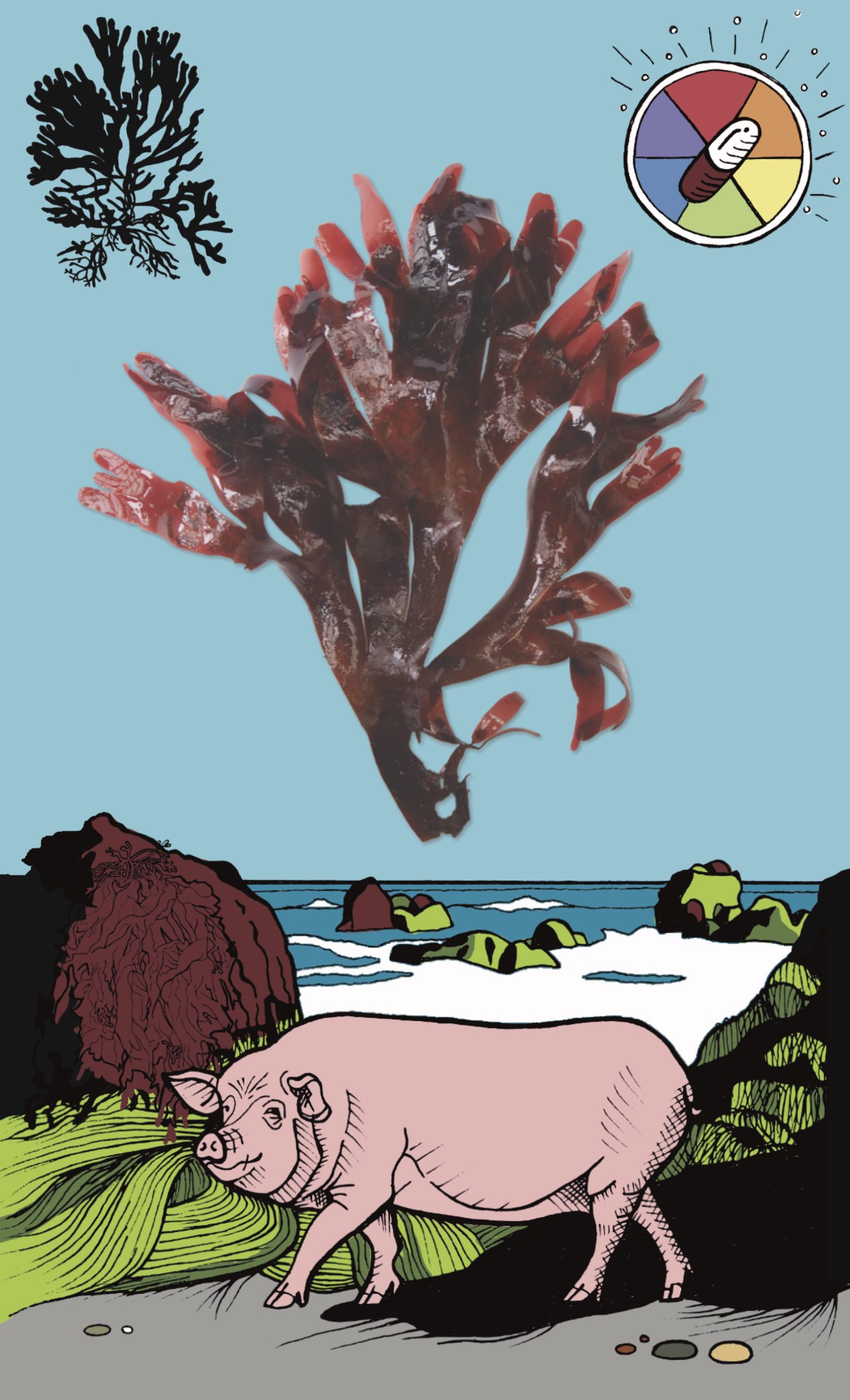 FFK-RC-DEC-Dulse_Alexanders-PRINT